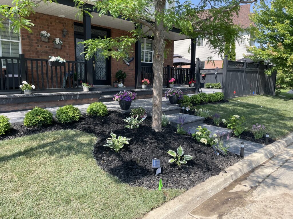 mulch